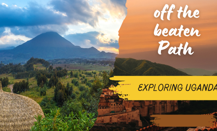 14 days off-the-beaten-path Uganda safari