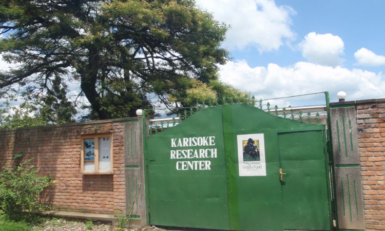 3 Days Dian Fossey Hike