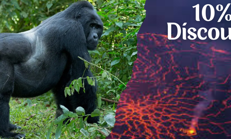8 days Congo Gorilla Extravaganza Package – Private safari journey