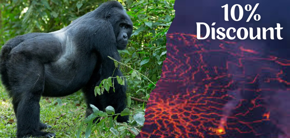 8 days Congo Gorilla Extravaganza Package