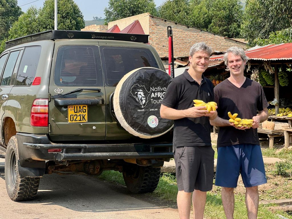 21 Days Uganda Gorillas Chimpanzees Wildlife Safari combining gorilla trekking, chimpanzees, wildlife, Kidepo, Bwindi, Kibale and Murchison Falls.