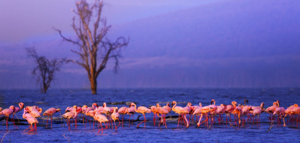 3 Days Lake Nakuru National Park Safari