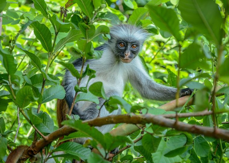 3 Days Zanzibar Tour