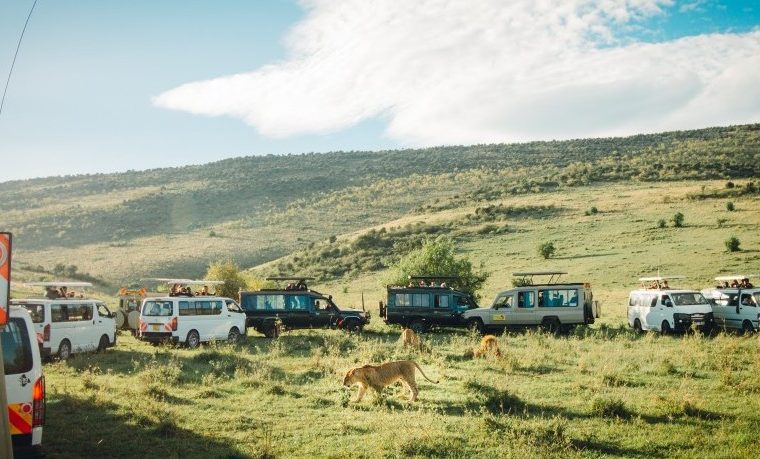 7 Days Rwanda Gorilla Trekking and Masai Mara National Park Safari