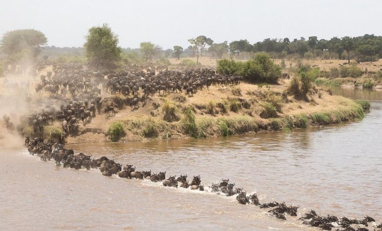 7 Days Tanzania Northern Circuit Safari