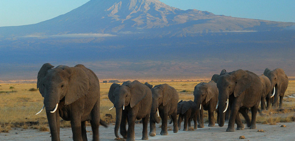 Amboseli National Park