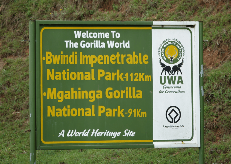 Bwindi National Park Entry Fees – Gorilla Uganda journal