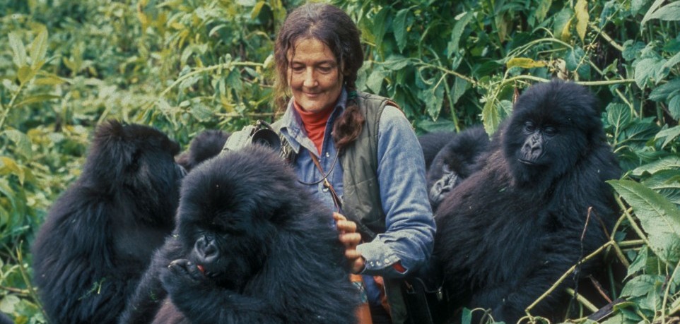 Dian Fossey