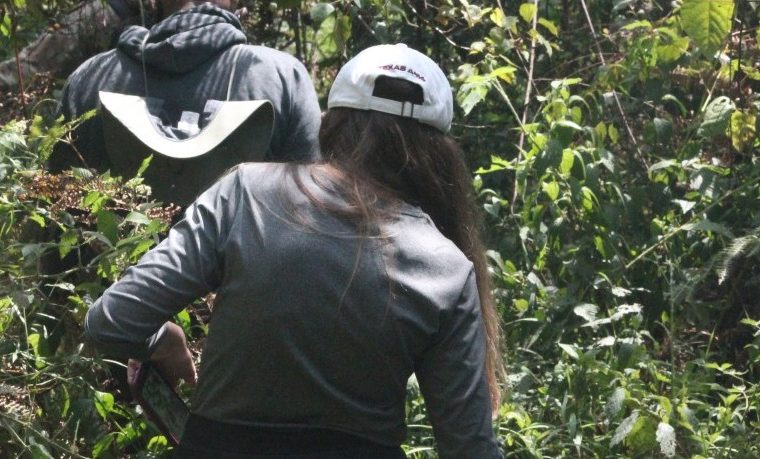 6 Days Lake Mburo National Park and Bwindi Gorilla Safari