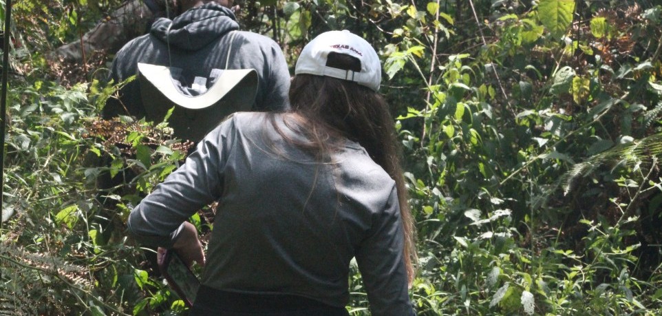 Family Safaris in Uganda