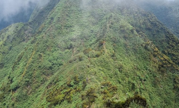 Mount Sabyinyo – Gorilla Uganda journal
