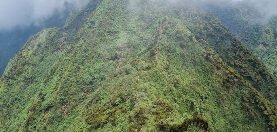 Mount Sabyinyo