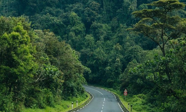 Nyungwe Forest National Park – Destination guide