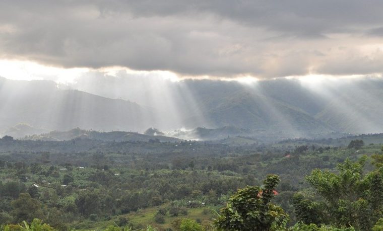 12 Days Mount Rwenzori Hiking and Gorilla Trekking Safari