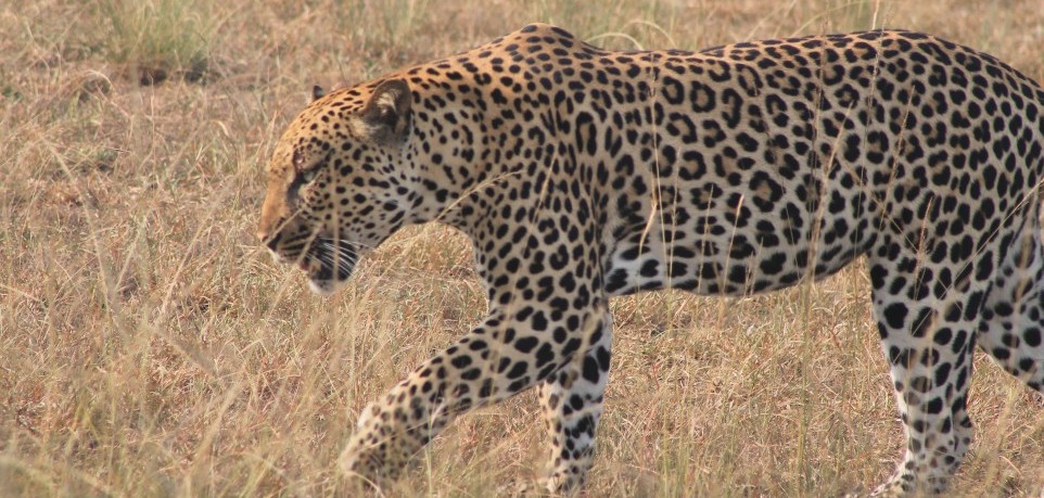 Serengeti National Park