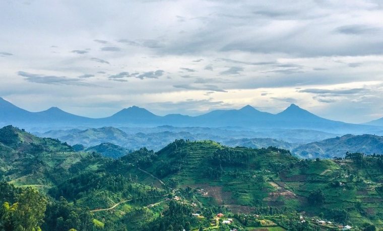 Virunga Mountains – Gorilla Uganda journal