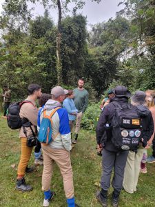 Gorilla trekking in Uganda with a German-speaking guide