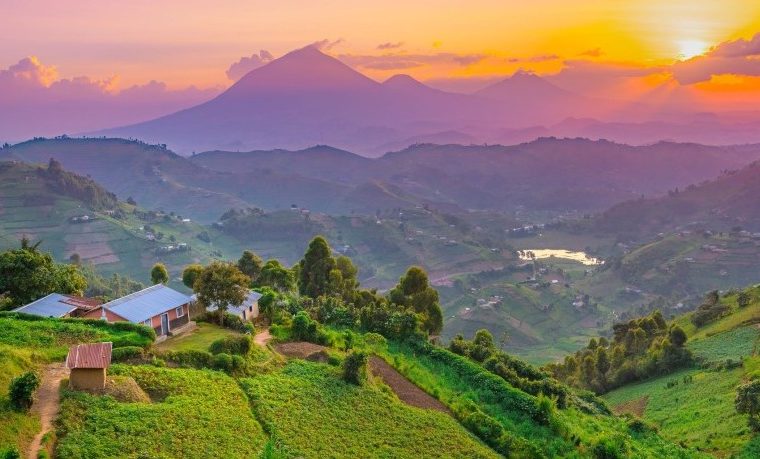 When to visit Uganda? – Gorilla Uganda journal