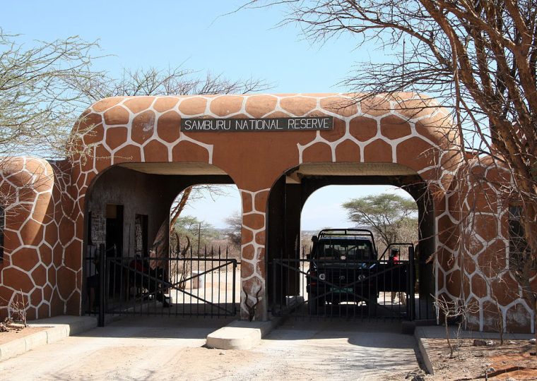 12 Days Kenya Uganda and Rwanda Safari – Private safari journey