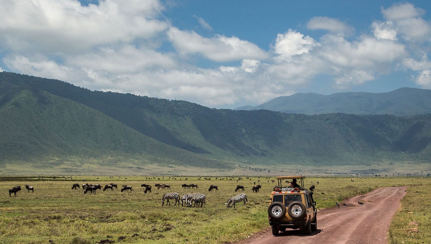 5 Days Ngorongoro and Chimpanzee Safari – Private safari journey