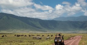 5 Days Ngorongoro and Chimpanzee Safari