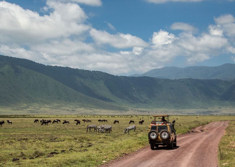 5 Days Ngorongoro and Chimpanzee Safari