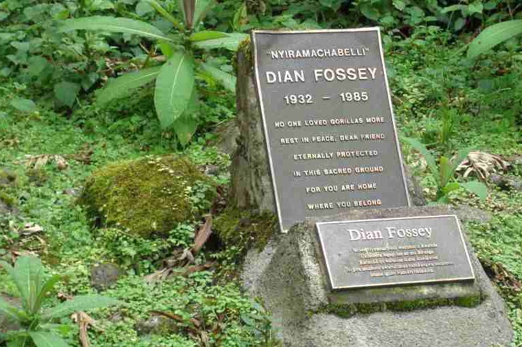 5 Days Rwanda Primates and Dian Fossey Tour