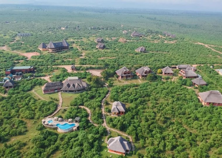 5 Days Buhoma and Queen Elizabeth Safari from Kigali