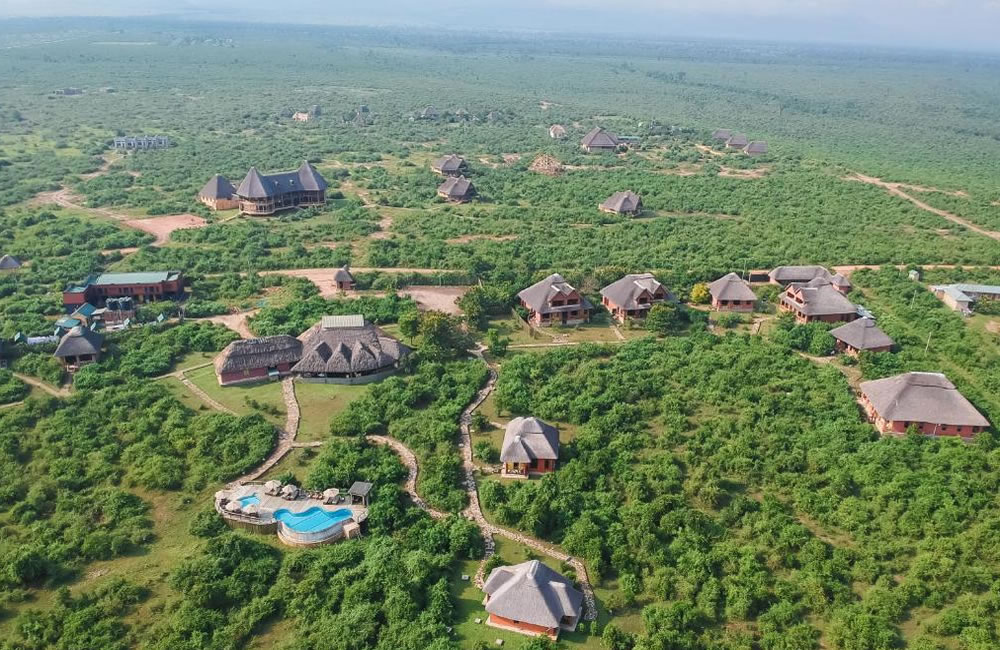 Buffalo Safari Lodge – Gorilla Uganda journal