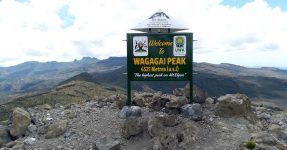 Gorilla Trekking and Mount Elgon Hiking