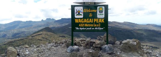 Gorilla Trekking and Mount Elgon Hiking