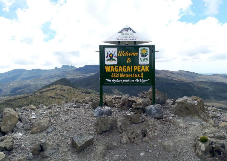 Gorilla Trekking and Mount Elgon Hiking – Gorilla Uganda journal