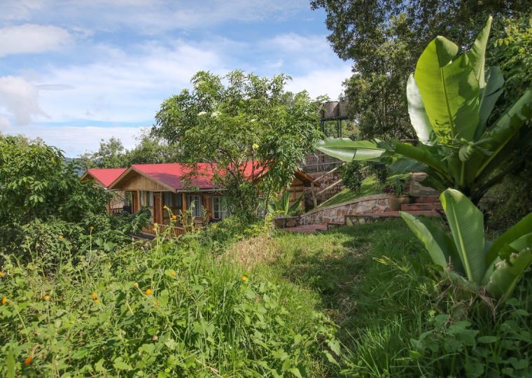 Lodges in the Nkuringo Sector – Gorilla Uganda journal