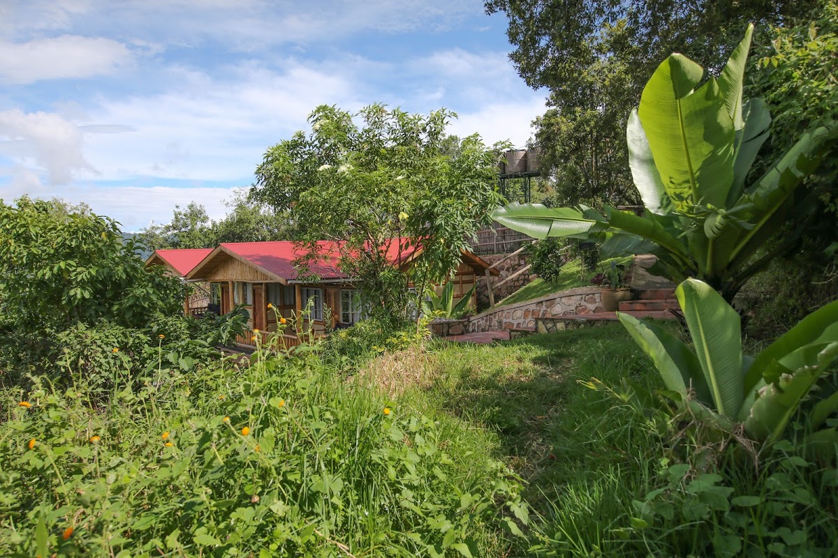 Lodges in the Nkuringo Sector – Gorilla Uganda journal