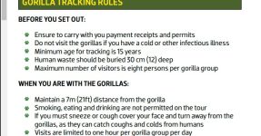 Mountain Gorilla Trekking Rules and Regulations