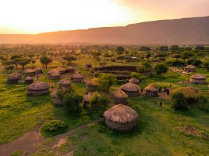 drones Africa Safari