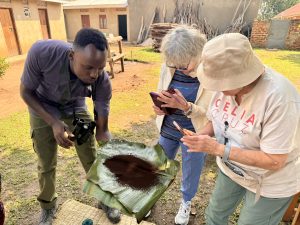 Gorilla trekking and cultural safaris in Uganda