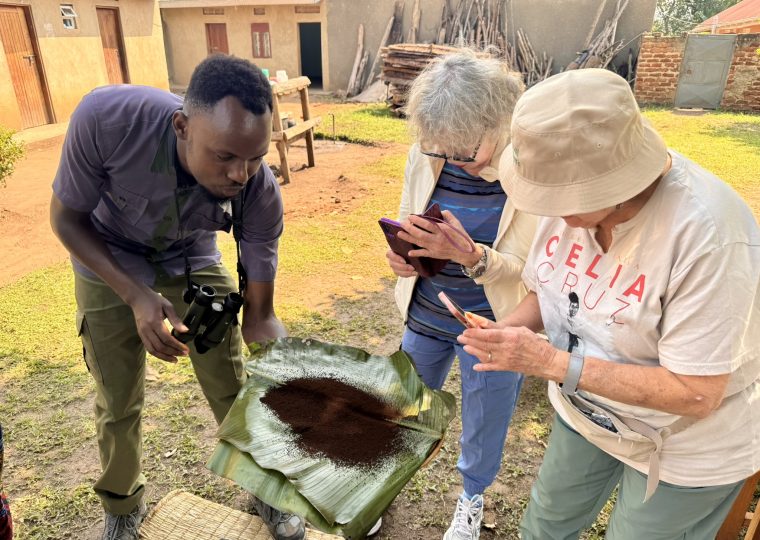 Gorilla trekking and cultural safaris in Uganda – Gorilla Uganda journal