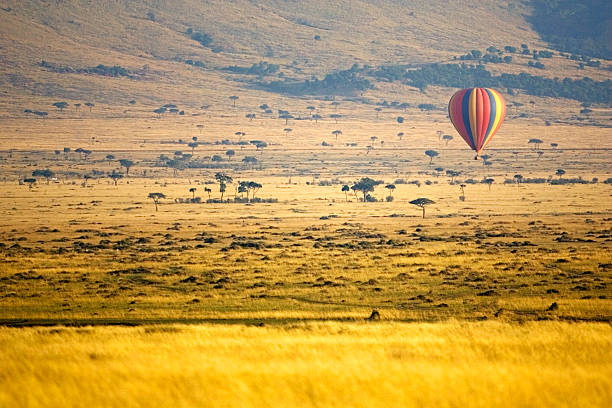 11 Days Tanzania and Kenya Tour