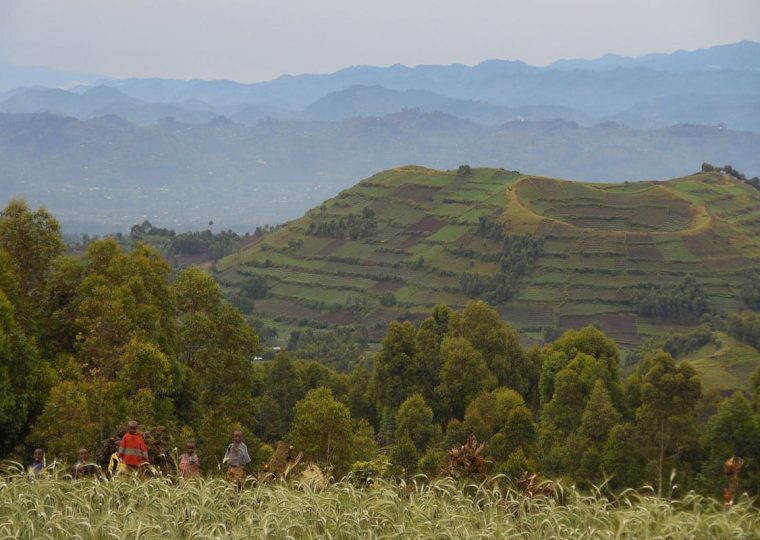 Volcano Climbing and Gorilla Trekking in Mgahinga Gorilla National Park – Gorilla Uganda journal