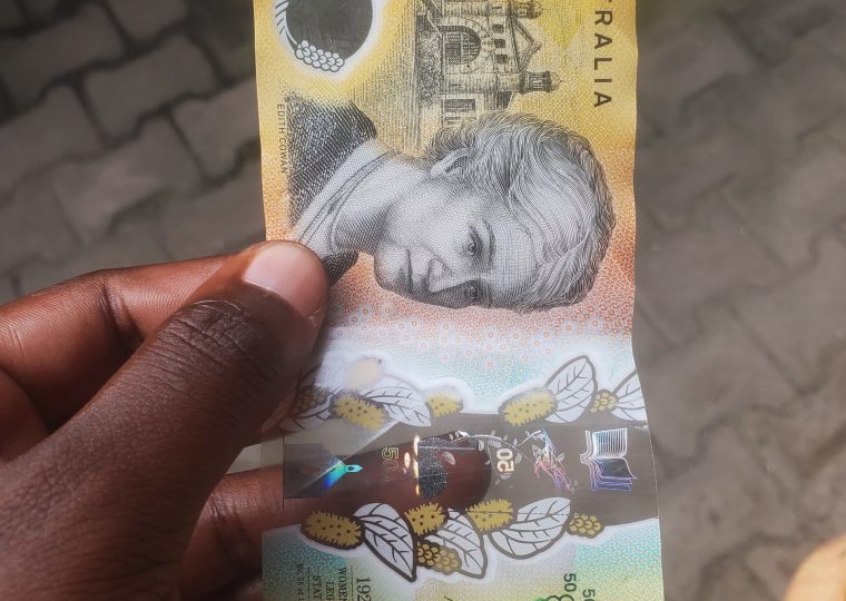Tips to Pay Less on a Uganda Gorilla Safari – Gorilla Uganda journal