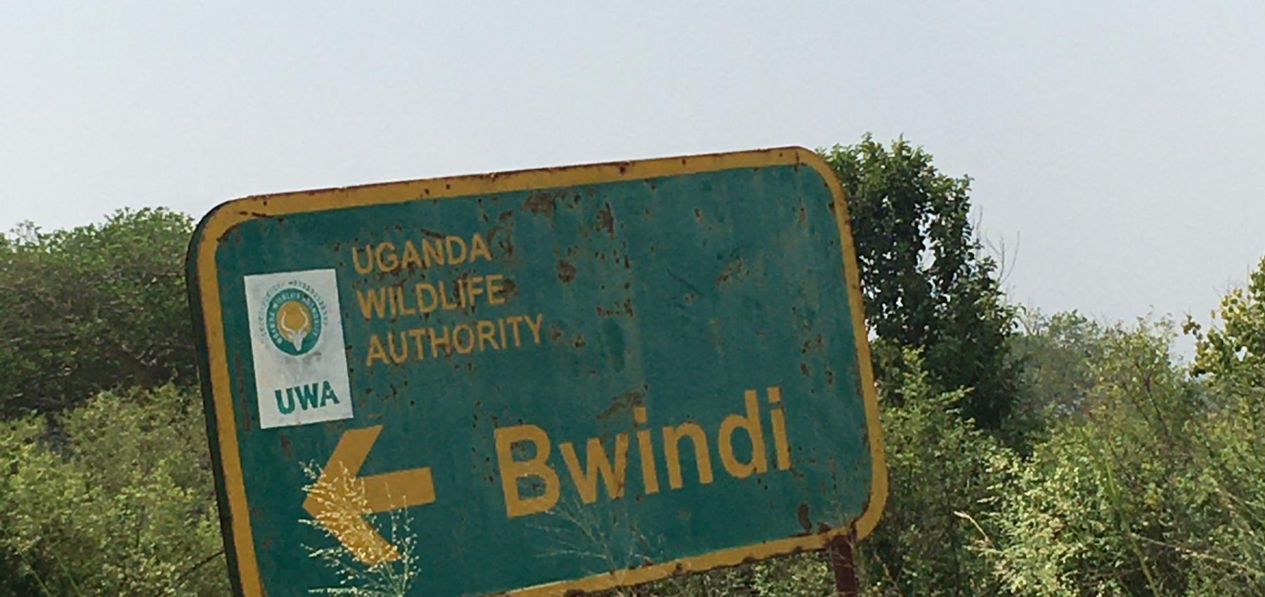 Which National Park is Famous for Gorillas in Uganda? – Gorilla Uganda journal