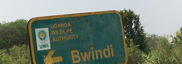 Park is Famous for Gorillas