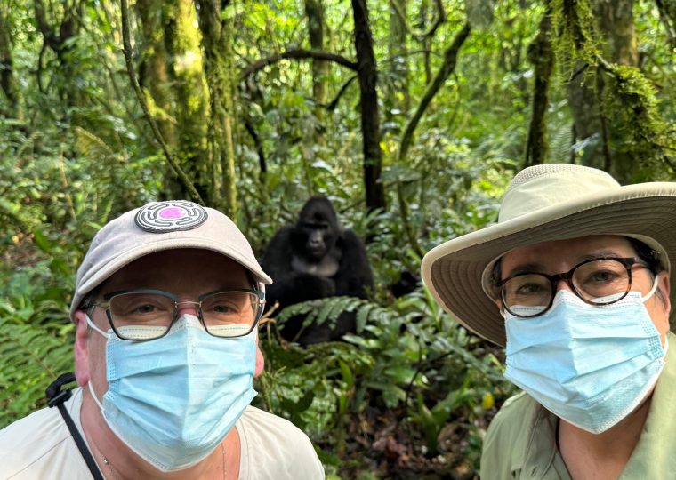 What Happens If I Don’t See Gorillas on the Day of Trekking? – Gorilla Uganda journal