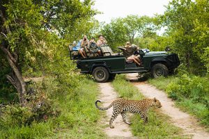 Kidepo safari game drive