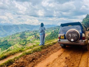 Gorilla Trekking and Wildebeest Migration Safari