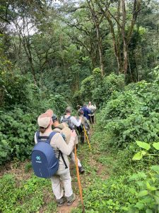 Rwanda and Tanzania Safari 
