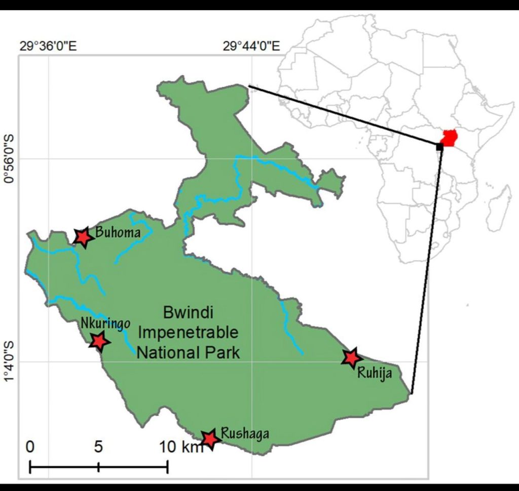 Map of Bwindi Impenetrable National Park showing Rushaga Gorilla Habituation sector in Ugand
