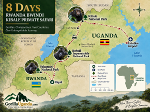 8 Days Rwanda Bwindi Kibale Primate Safari 