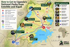 Kigali or Entebbe for Uganda Gorilla Trekking
